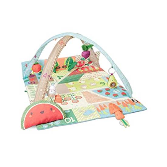 Skip Hop Farmstand Grow N Play Gym